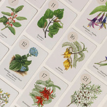 Load image into Gallery viewer, Botanical Bingo
