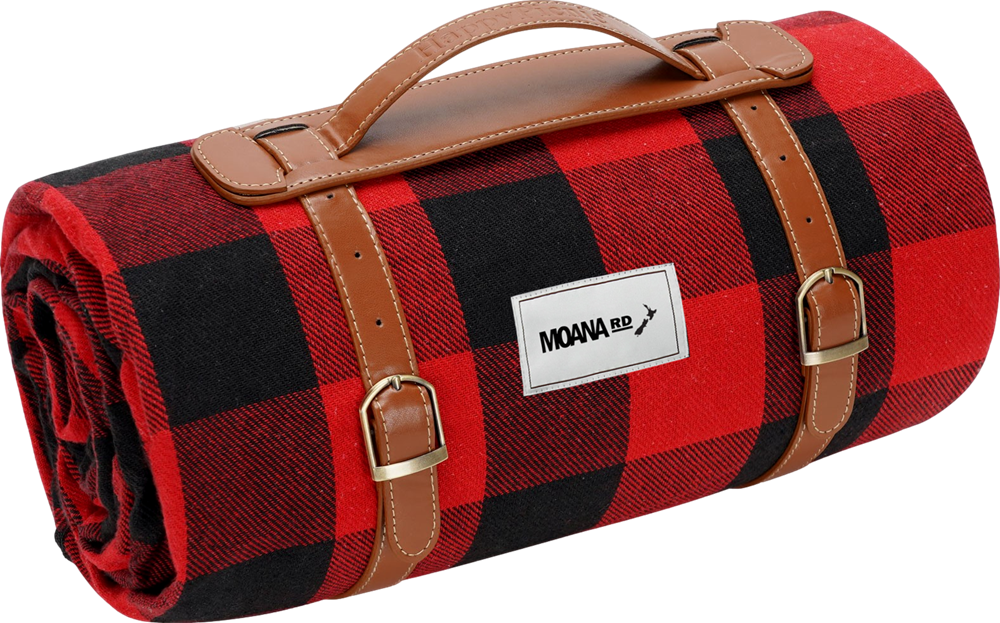 red/black check picnic blanket 