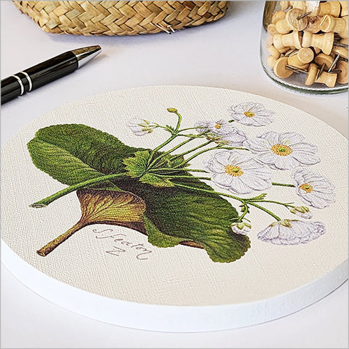Canvas Circle SF Small - Mountain Lily