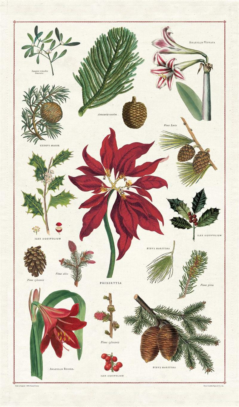 Cavallini & Co – Botanica Christmas Tea Towel
