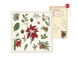 Cavallini & Co - Botanica Set of 4 - Christmas Cotton Napkins