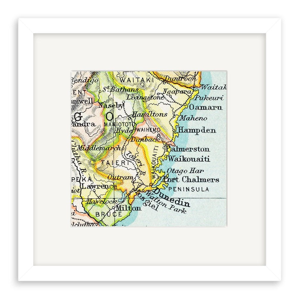 Dunedin Vintage Map Print