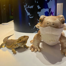 Load image into Gallery viewer, Bearded Dragon - Soft toy

