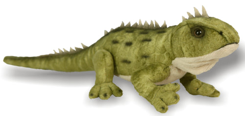 Tuatara plush toy, 37 cm