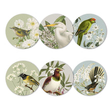 Load image into Gallery viewer, Birds &amp; Botanicals of NZ Box of 6 Coasters
