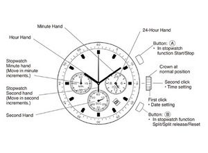 Bloom Wood Watch