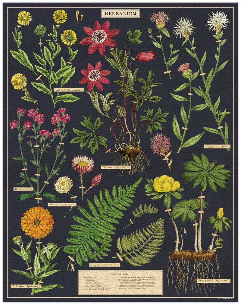 Cavallini & Co. herbarium 1000 piece vintage puzzle completed