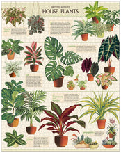 Load image into Gallery viewer, Cavallini &amp; Co – House Plants 1000 Piece Vintage Puzzle
