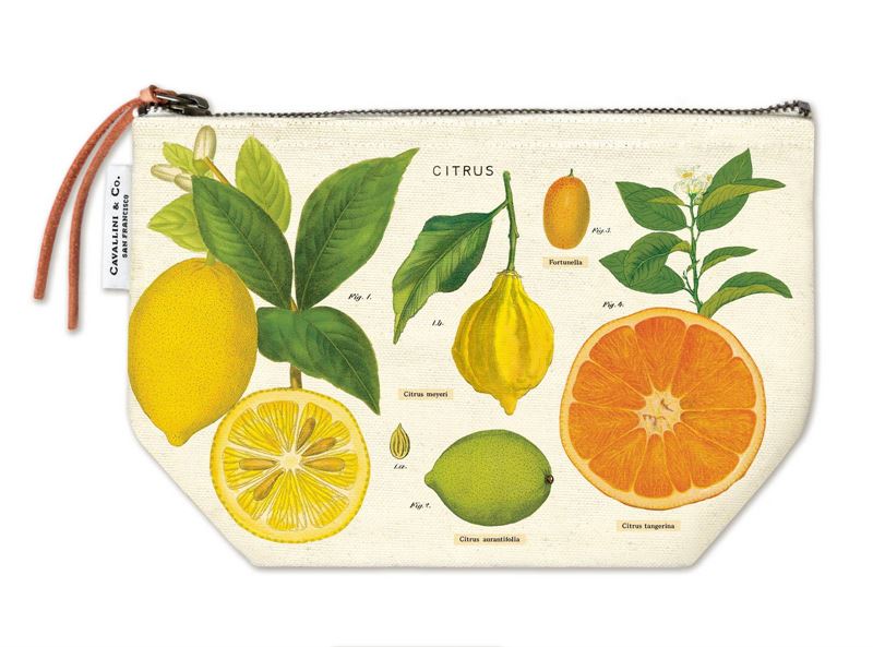 Cavallini & Co – Citrus Vintage Pouch
