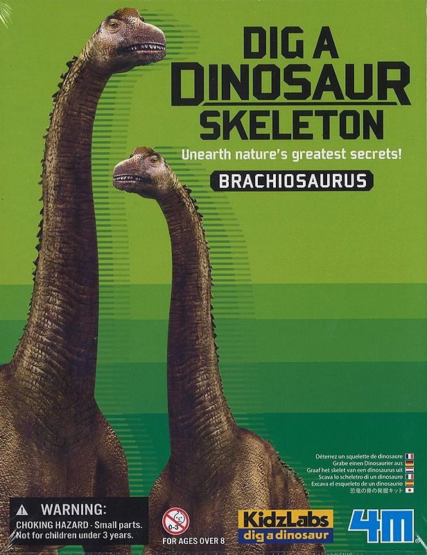 Dino Skeleton Exc. Kit Brachiosaurus