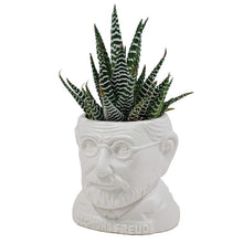 Load image into Gallery viewer, Freud Fertile Mind – Planter
