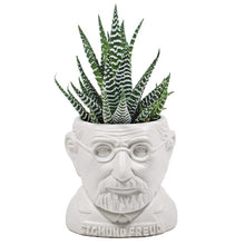 Load image into Gallery viewer, Freud Fertile Mind – Planter
