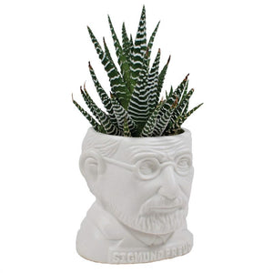 Freud Fertile Mind – Planter