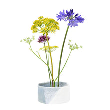 Load image into Gallery viewer, Fuji-Japanese Flower Arranging Bowl
