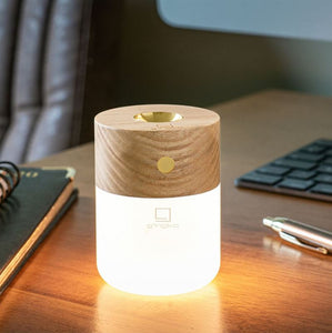 Gingko - White Ash - Smart Diffuser Lamp