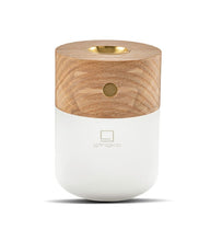 Load image into Gallery viewer, Gingko - White Ash - Smart Diffuser Lamp
