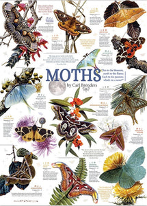 Moth Collection 100 Piece Puzzle