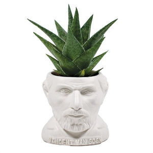 Van Gogh Fertile Mind Planter