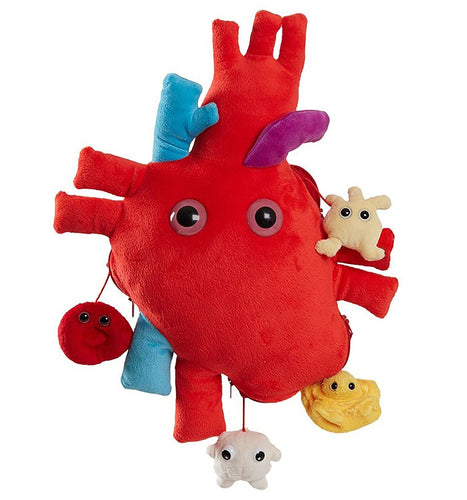 XL heart organ soft toy